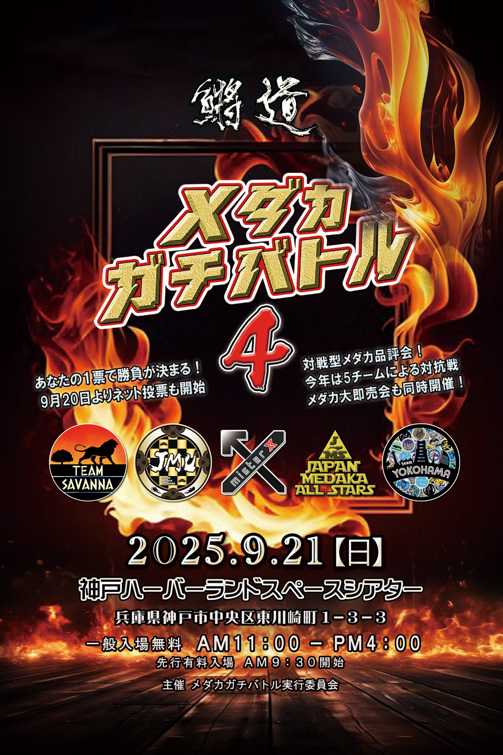 メダカガチバトル4 概要ビジュアル